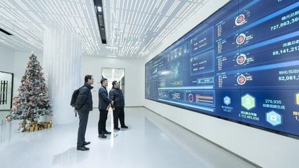 攜手共進(jìn)，開(kāi)創(chuàng)信息服務(wù)新篇章——上海市信息服務(wù)業(yè)行業(yè)協(xié)會(huì)秘書(shū)長(zhǎng)陸雷一行蒞臨珍島集團(tuán)調(diào)研