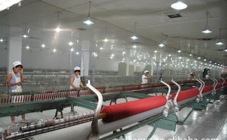 高檔精品時尚品牌羊絨衫誠招代理加盟，廠家直供，優價共贏