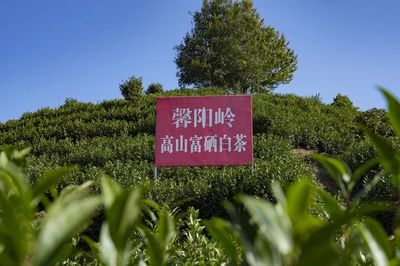 富硒農產品開發 模式創新與市場前景