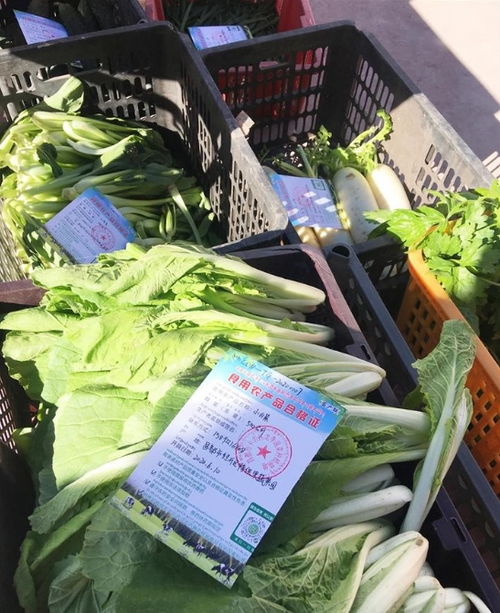 西藏食用農產品合格證累計出具突破4600張，質量安全追溯體系穩步構建